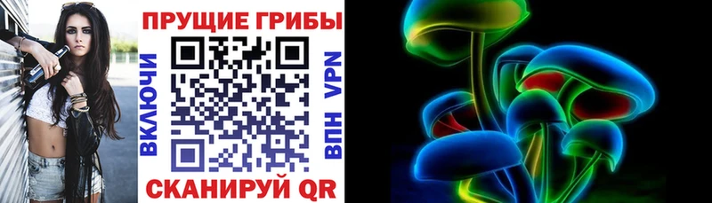 Галлюциногенные грибы MAGIC MUSHROOMS  ссылка на мегу как войти  Строитель 